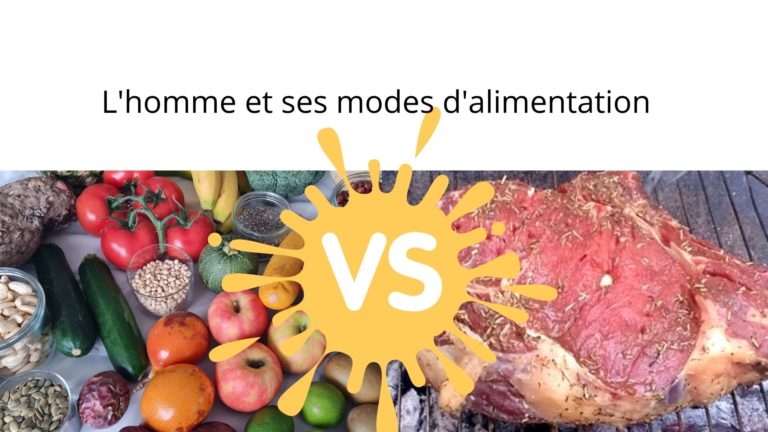 L’homme et ses modes d’alimentation